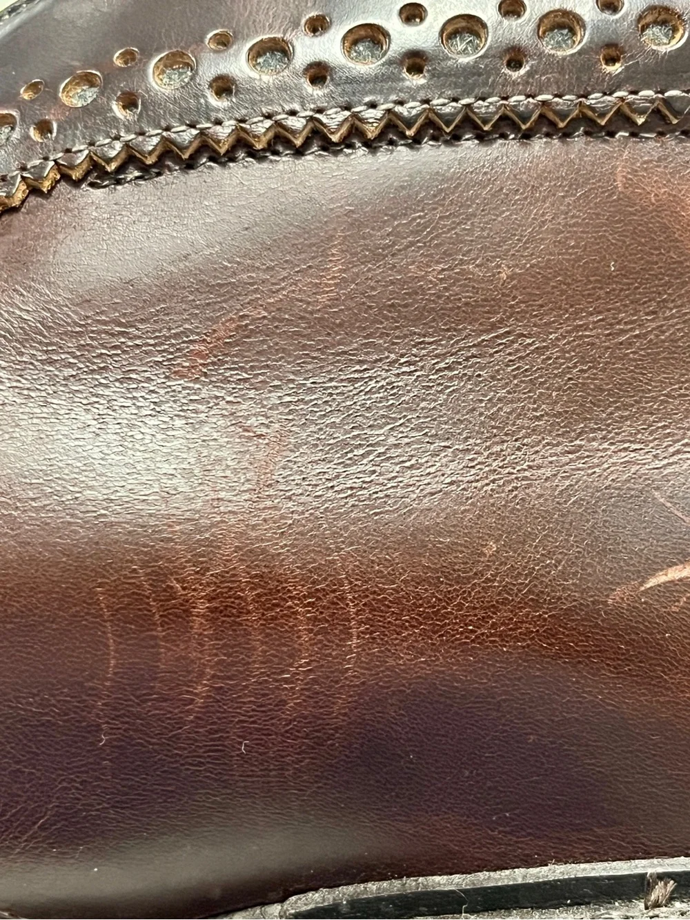 Allen Edmonds classic versatile